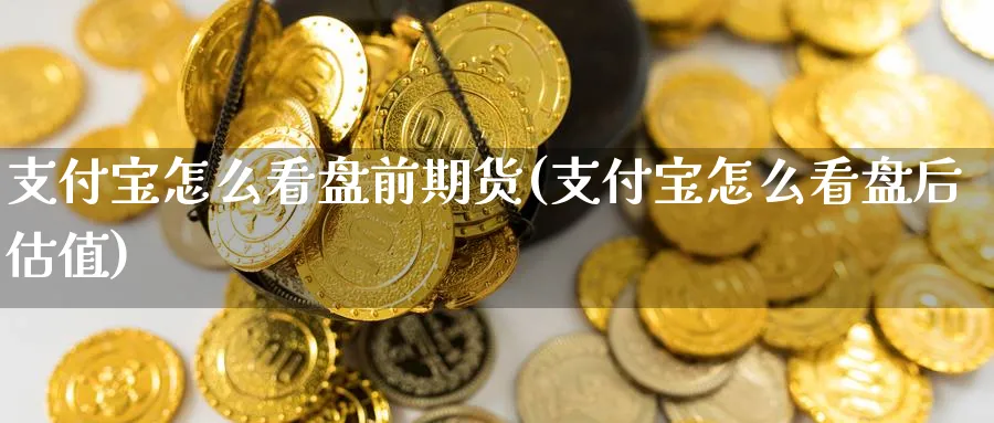 支付宝怎么看盘前期货(支付宝怎么看盘后估值)_内盘期货_第1张_南辞期货直播间 支付宝怎么看盘前期货(支付宝怎么看盘后估值)_https://www.nccrq.com_内盘期货_第1张