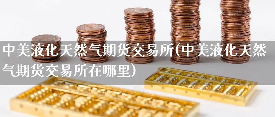 中美液化天然气期货交易所(中美液化天然气期货交易所在哪里)_https://www.nccrq.com_期货行情_第1张