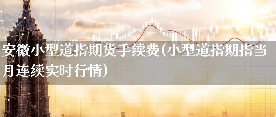安徽小型道指期货手续费(小型道指期指当月连续实时行情)_https://www.nccrq.com_股指期货_第1张