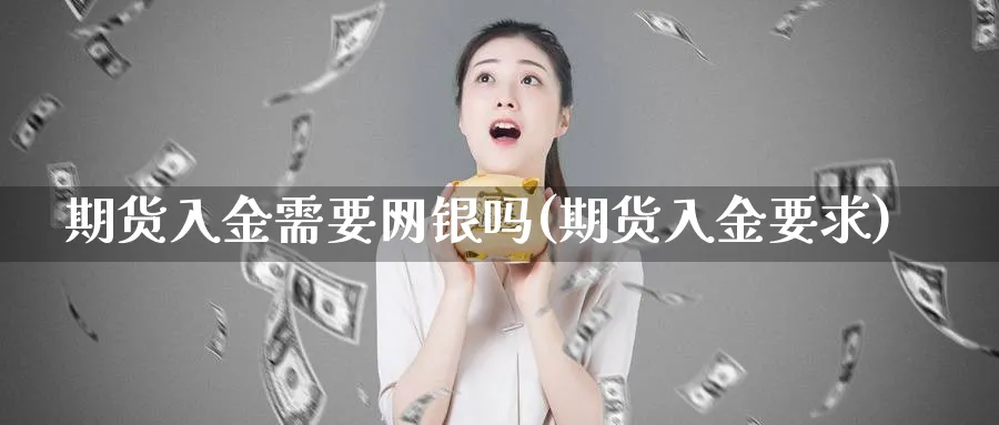 期货入金需要网银吗(期货入金要求)_https://www.nccrq.com_期货平台_第1张