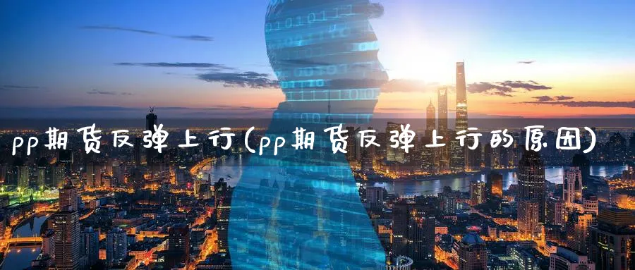 pp期货反弹上行(pp期货反弹上行的原因)_https://www.nccrq.com_期货交易_第1张