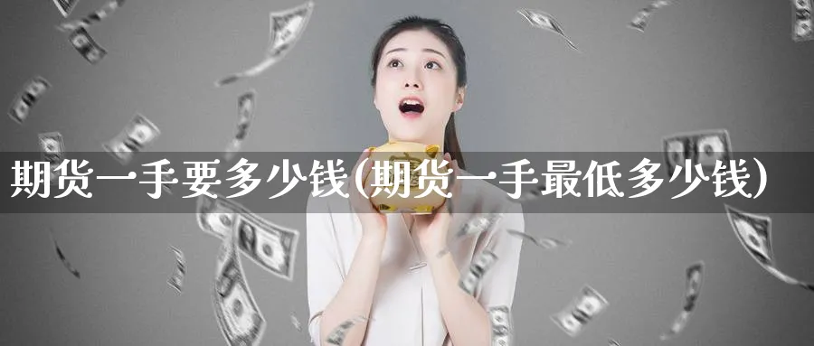 期货一手要多少钱(期货一手最低多少钱)_https://www.nccrq.com_恒指期货_第1张