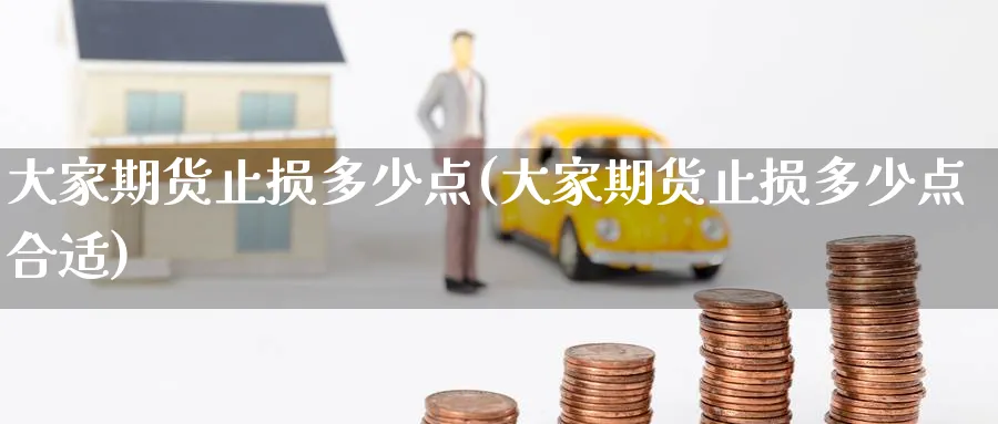 大家期货止损多少点(大家期货止损多少点合适)_https://www.nccrq.com_期货平台_第1张