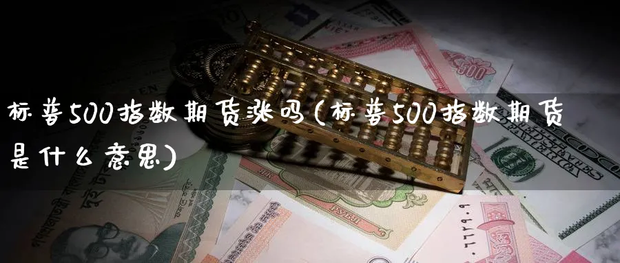 标普500指数期货涨吗(标普500指数期货是什么意思)_https://www.nccrq.com_期货分析_第1张
