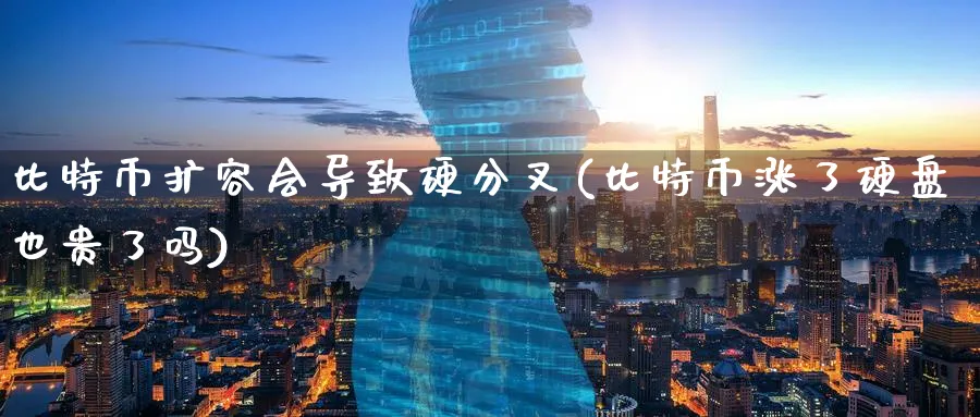比特币扩容会导致硬分叉(比特币涨了硬盘也贵了吗)_https://www.nccrq.com_币圈资讯_第1张