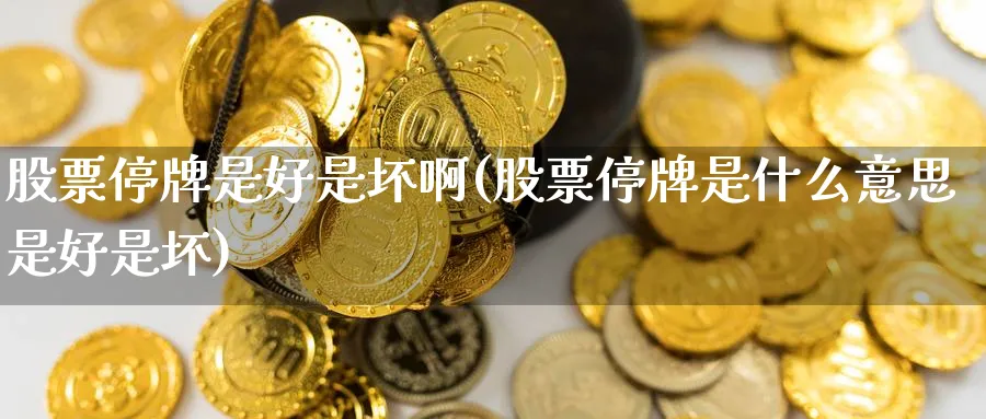 股票停牌是好是坏啊(股票停牌是什么意思是好是坏)_https://www.nccrq.com_恒指期货_第1张