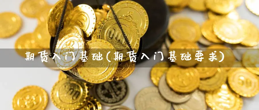 期货入门基础(期货入门基础要求)_https://www.nccrq.com_国际期货_第1张