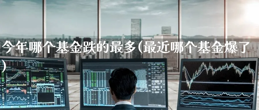 今年哪个基金跌的最多(最近哪个基金爆了)_https://www.nccrq.com_恒指期货_第1张
