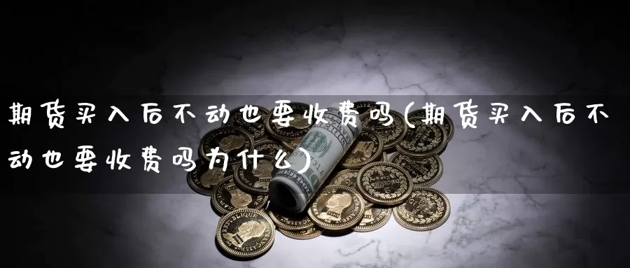 期货买入后不动也要收费吗(期货买入后不动也要收费吗为什么)_https://www.nccrq.com_期货喊单_第1张