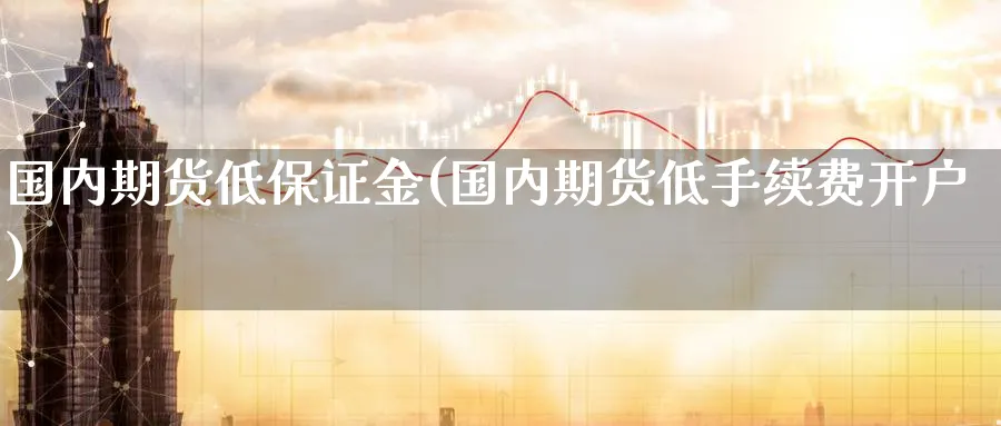 国内期货低保证金(国内期货低手续费开户)_https://www.nccrq.com_期货开户_第1张