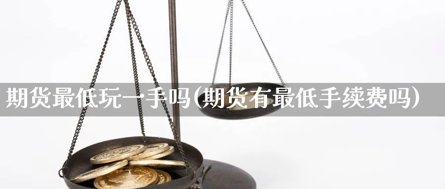 期货最低玩一手吗(期货有最低手续费吗)_https://www.nccrq.com_期货入门_第1张