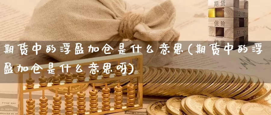 期货中的浮盈加仓是什么意思(期货中的浮盈加仓是什么意思呀)_https://www.nccrq.com_原油期货_第1张