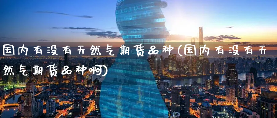 国内有没有天然气期货品种(国内有没有天然气期货品种啊)_https://www.nccrq.com_期货公司_第1张