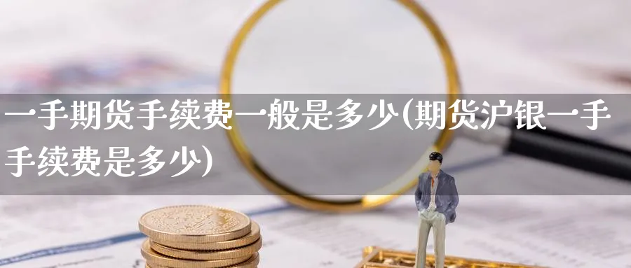 一手期货手续费一般是多少(期货沪银一手手续费是多少)_https://www.nccrq.com_纳指期货_第1张