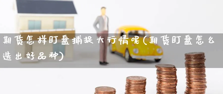 期货怎样盯盘捕捉大行情呢(期货盯盘怎么选出好品种)_https://www.nccrq.com_期货开户_第1张