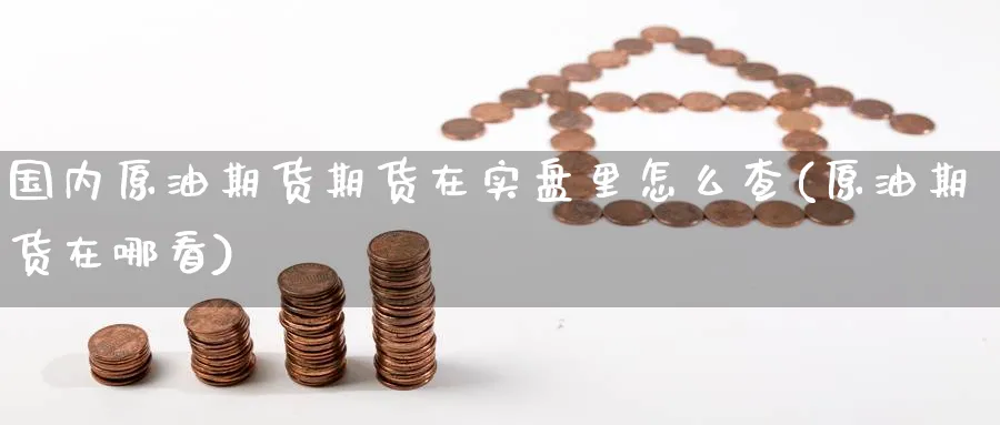 国内原油期货期货在实盘里怎么查(原油期货在哪看)_https://www.nccrq.com_期货行情_第1张