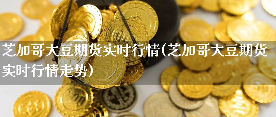 芝加哥大豆期货实时行情(芝加哥大豆期货实时行情走势)_https://www.nccrq.com_期货入门_第1张