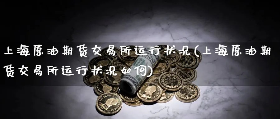 上海原油期货交易所运行状况(上海原油期货交易所运行状况如何)_https://www.nccrq.com_期货百科_第1张