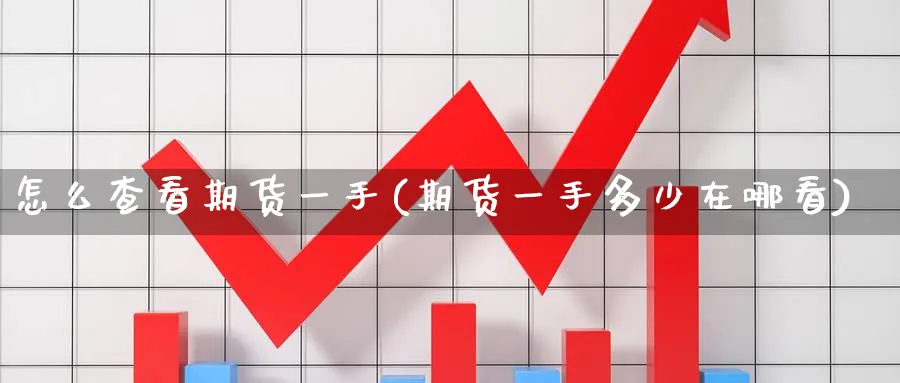 怎么查看期货一手(期货一手多少在哪看)_https://www.nccrq.com_期货交易_第1张