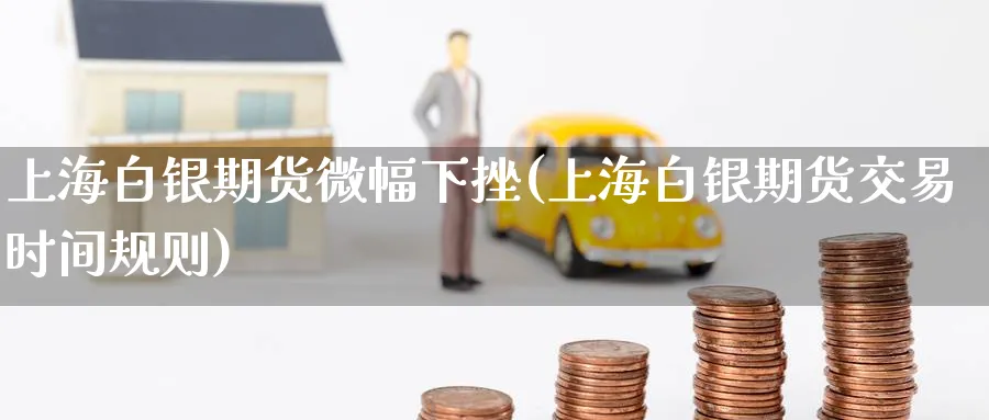 上海白银期货微幅下挫(上海白银期货交易时间规则)_https://www.nccrq.com_纳指期货_第1张