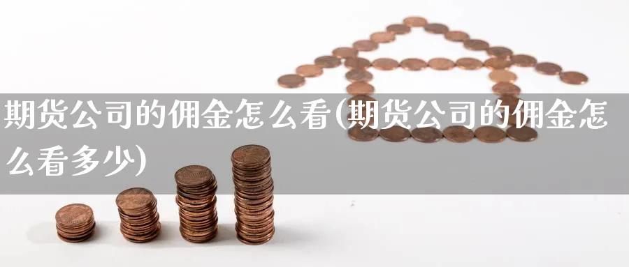 期货公司的佣金怎么看(期货公司的佣金怎么看多少)_https://www.nccrq.com_恒生指数_第1张