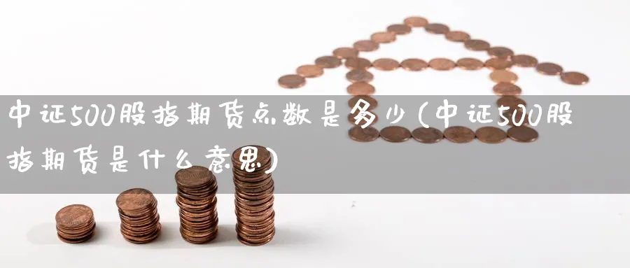 中证500股指期货点数是多少(中证500股指期货是什么意思)_https://www.nccrq.com_期货平台_第1张
