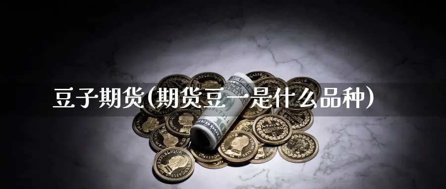 豆子期货(期货豆一是什么品种)_https://www.nccrq.com_纳指期货_第1张