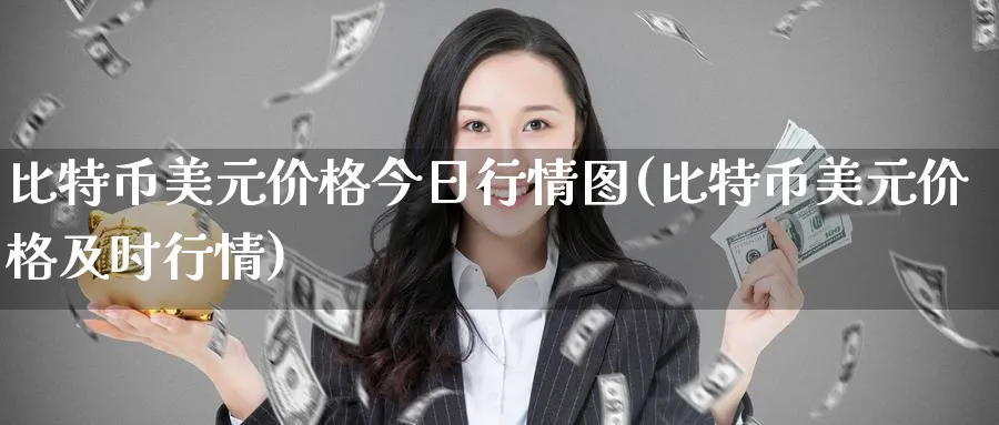 比特币美元价格今日行情图(比特币美元价格及时行情)_https://www.nccrq.com_期货品种_第1张