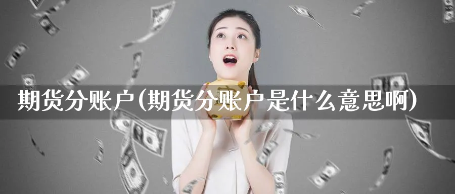 期货分账户(期货分账户是什么意思啊)_https://www.nccrq.com_恒指期货_第1张