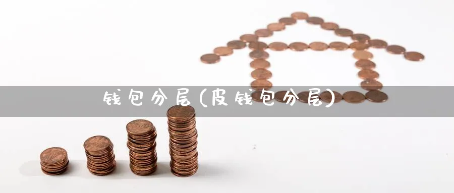 钱包分层(皮钱包分层)_https://www.nccrq.com_币圈资讯_第1张