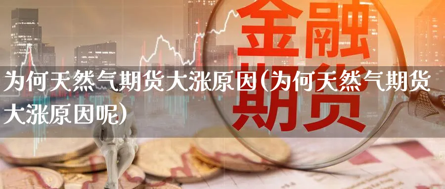 为何天然气期货大涨原因(为何天然气期货大涨原因呢)_https://www.nccrq.com_内盘期货_第1张