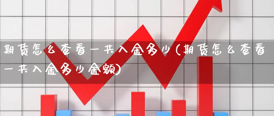期货怎么查看一共入金多少(期货怎么查看一共入金多少金额)_https://www.nccrq.com_期货平台_第1张