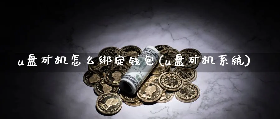 u盘矿机怎么绑定钱包(u盘矿机系统)_https://www.nccrq.com_币圈资讯_第1张