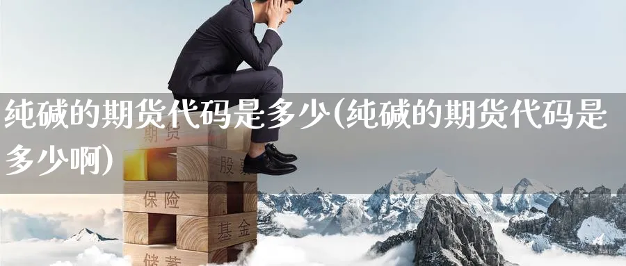 纯碱的期货代码是多少(纯碱的期货代码是多少啊)_https://www.nccrq.com_期货分析_第1张
