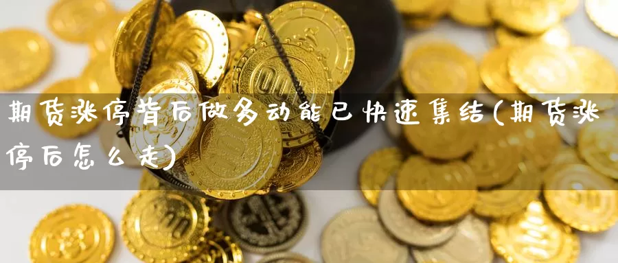 期货涨停背后做多动能已快速集结(期货涨停后怎么走)_https://www.nccrq.com_期货公司_第1张