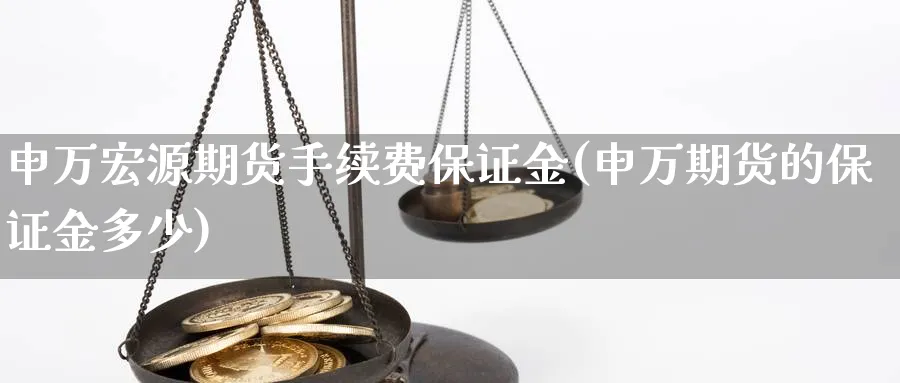 申万宏源期货手续费保证金(申万期货的保证金多少)_https://www.nccrq.com_国际期货_第1张