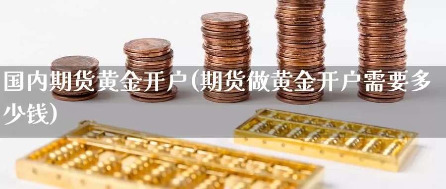 国内期货黄金开户(期货做黄金开户需要多少钱)_https://www.nccrq.com_期货入门_第1张