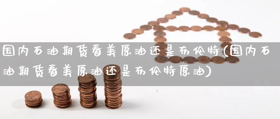 国内石油期货看美原油还是布伦特(国内石油期货看美原油还是布伦特原油)_https://www.nccrq.com_期货品种_第1张